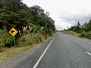 catlins (42)